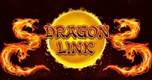 Dragon Link